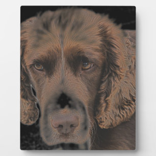 English Springer Dogs Plaque