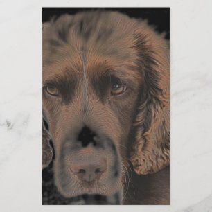 English Springer Dogs Stationery