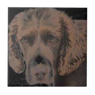 English Springer Dogs Tile