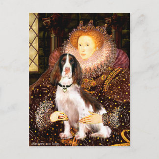 English Springer (Liv) - Queen Postcard