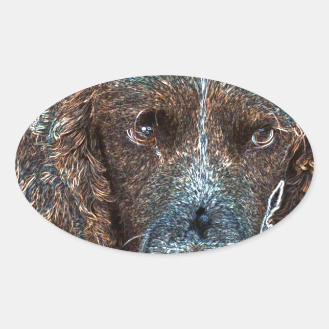 English Springer Oval Sticker (Front)