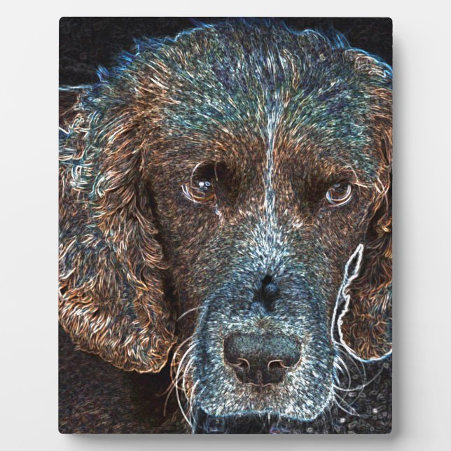 English Springer Plaque (Front)