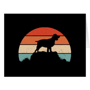 English springer spaniel