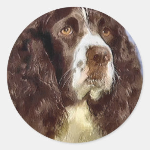 English Springer Spaniel Art Gifts Classic Round Sticker