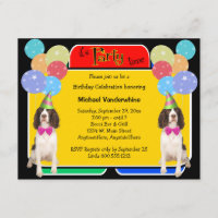 English Springer Spaniel Birthday Barker