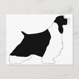 English Springer Spaniel black white silo Postcard