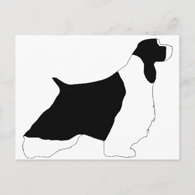 English Springer Spaniel black white silo Postcard (Front)