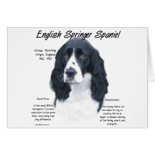 English Springer Spaniel (blk) History Design