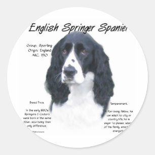 English Springer Spaniel (blk) History Design Classic Round Sticker