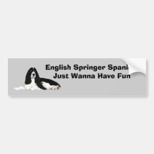 English Springer Spaniel Bumper Sticker