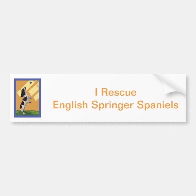 English Springer Spaniel Bumper Sticker (Front)