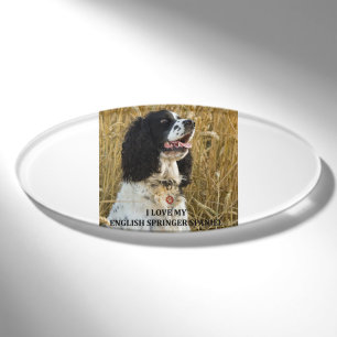 english springer spaniel bwlove w pic name tag