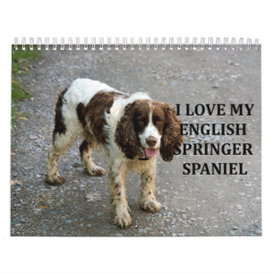 English Springer Spaniel Calendar