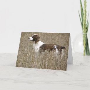 English Springer Spaniel Card