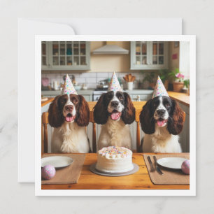 English Springer Spaniel card,  Spaniel birthday Invitation