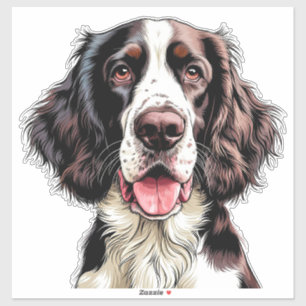 English Springer Spaniel Dog