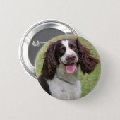 English Springer Spaniel dog beautiful photo, gift 2 Inch Round Button (Front & Back)