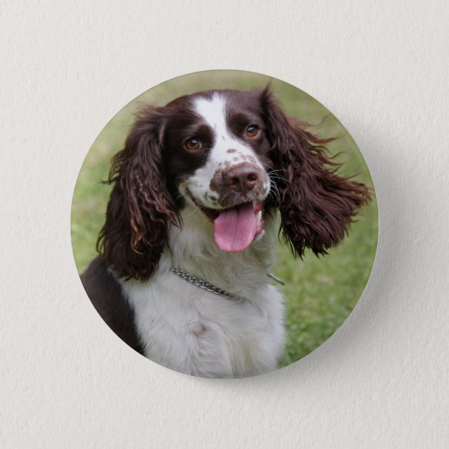English Springer Spaniel dog beautiful photo, gift 2 Inch Round Button (Front)