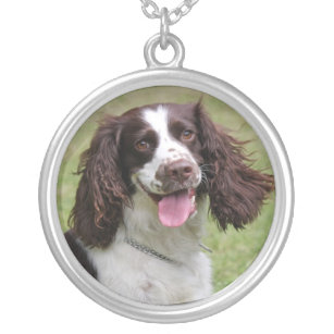 English Springer Spaniel dog beautiful photo, gift Silver Plated Necklace