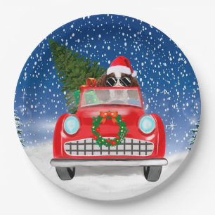 English Springer Spaniel Dog Car In Snow Christmas Paper Plate