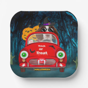 English Springer Spaniel dog Car Scary Halloween Paper Plate