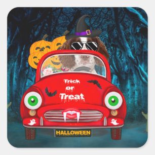 English Springer Spaniel dog Car Scary Halloween Square Sticker