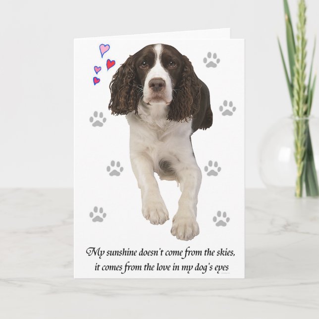 English Springer Spaniel Dog Card (Front)