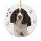 English Springer Spaniel Dog