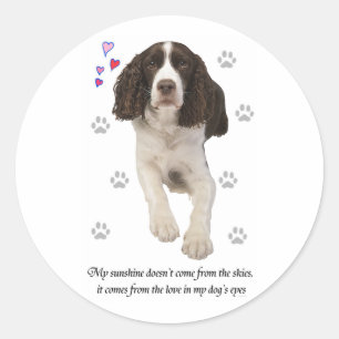 English Springer Spaniel Dog Classic Round Sticker