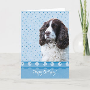 English Springer Spaniel Dog Happy Birthday Card