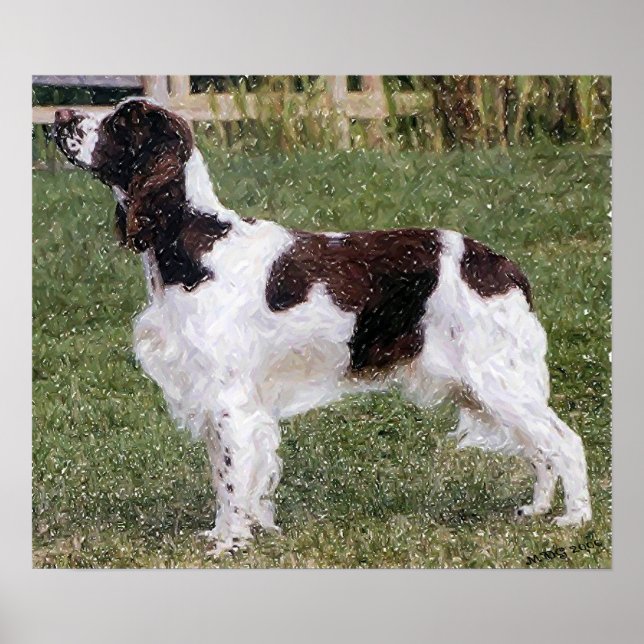 English Springer Spaniel Dog Portrait Poster Print (Front)