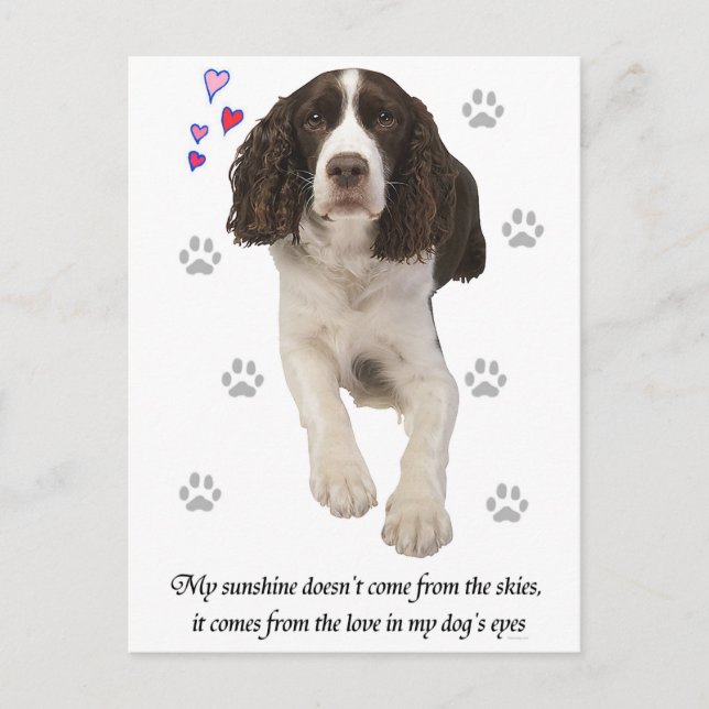 English Springer Spaniel Dog Postcard (Front)