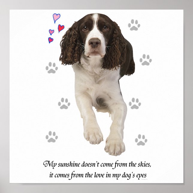 English Springer Spaniel Dog Poster (Front)