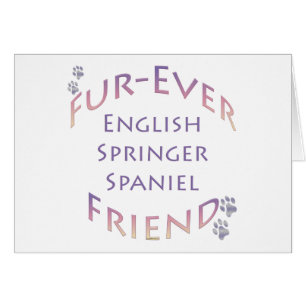 English Springer Spaniel Furever