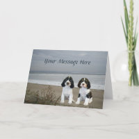 English Springer Spaniel Greeting Card
