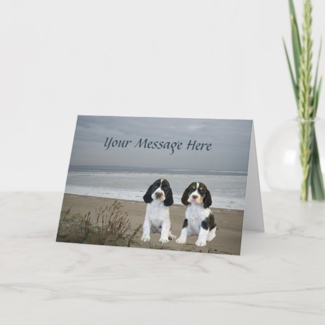 English Springer Spaniel Greeting Card (Front)