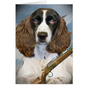 English Springer Spaniel Hunts