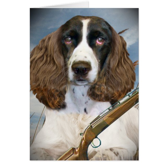 English Springer Spaniel Hunts (Front)
