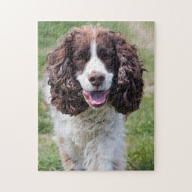 English Springer Spaniel Jigsaw Puzzle (Vertical)