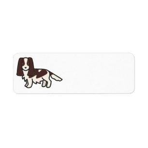 english springer spaniel liver and white cartoon
