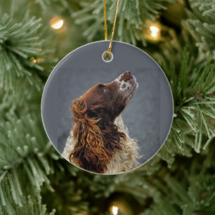 English Springer Spaniel Liver & White Looking Up Ceramic Ornament