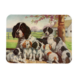 English Springer Spaniel mom and puppies Magnet