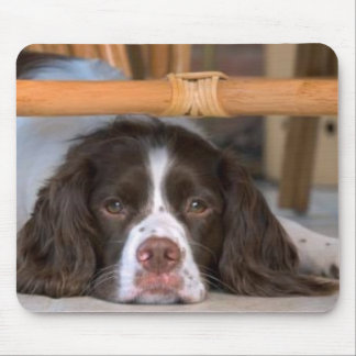 English Springer Spaniel Mousepad