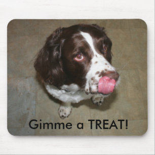 English Springer Spaniel, Otis wants a Treat! Mouse Pad