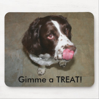 English Springer Spaniel, Otis wants a Treat! Mouse Pad