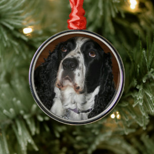 English Springer Spaniel Personalized Pet Photo Metal Ornament