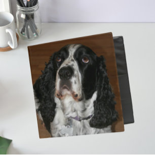 English Springer Spaniel Pet Photo Binder
