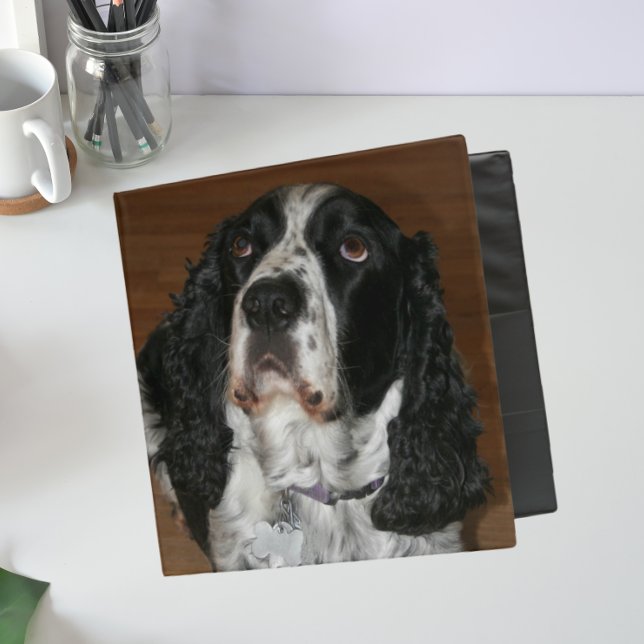 English Springer Spaniel Pet Photo Binder (In Situ Front)
