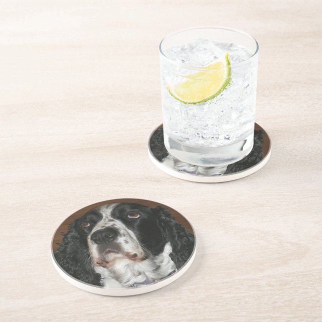English Springer Spaniel Pet Photo Coaster (Side)