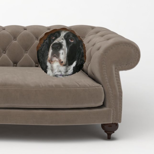 English Springer Spaniel Pet Photo Round Pillow (In Situ Sofa)
